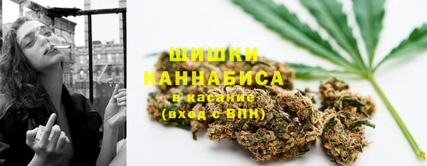 тгк Михайлов