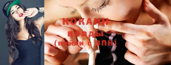 тгк Михайлов