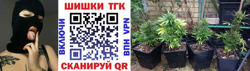 продажа наркотиков  Каневская  Канабис гибрид 